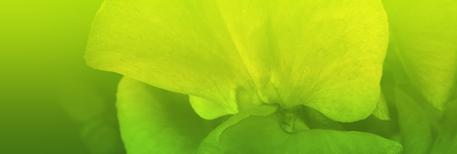 账号测试平台的在线手机号轰炸